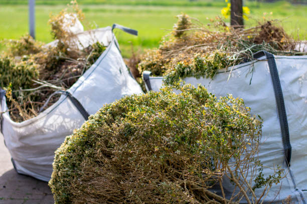Best Shed Removal  in Chillum, MD